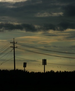 ���E���E