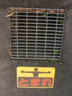 �ŋ߂悤�₭������������