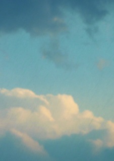 �ʐ^�͍����̓V�C�J�̌������̋�ł�