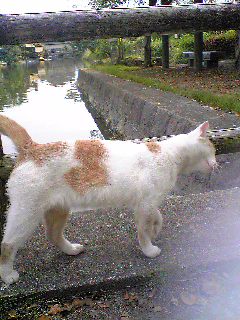 �����߂�Ȃ���