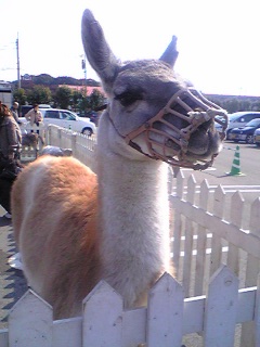 ���̂˂��̂�