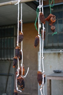 �A���Ă��Ă���