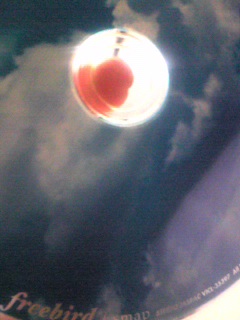 �N���ɂ��ł��邱�Ƃ�