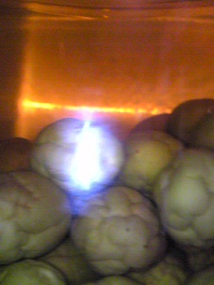 ������ƊO�o